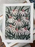 Cone Flower Fine Art Print 20x26 — soft pink coneflowers by P. Moore